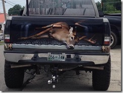 Tailgate-Wrap-Sandys-Custom-Auto