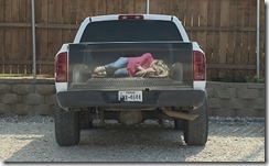 decal2